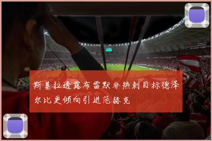 斯基拉透露布雷默非热刺目标德泽尔比更倾向引进范赫克