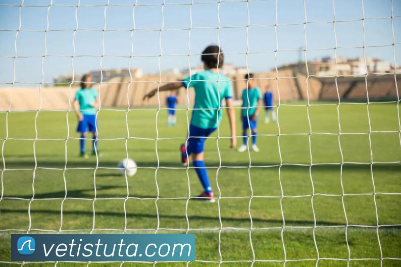 伟德官方网站APP 封面图